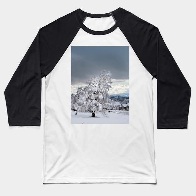 Winter Tree Baseball T-Shirt by valentina9